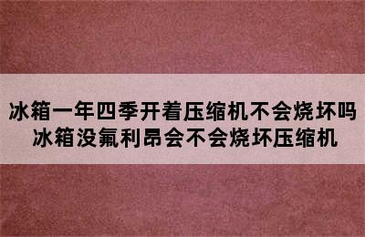 冰箱一年四季开着压缩机不会烧坏吗 冰箱没氟利昂会不会烧坏压缩机